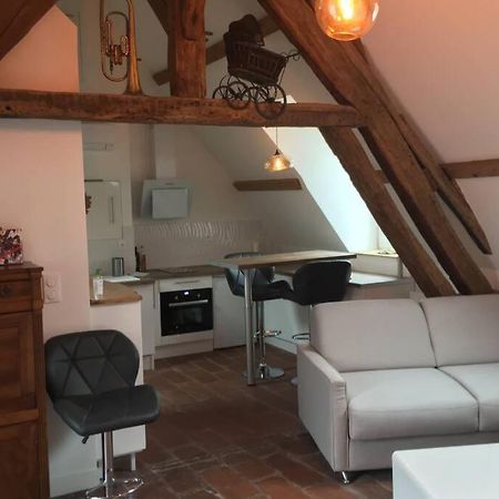 La Terrasse Du Chevalier D'Eon - Loft A Tonnerre Appartement Buitenkant foto