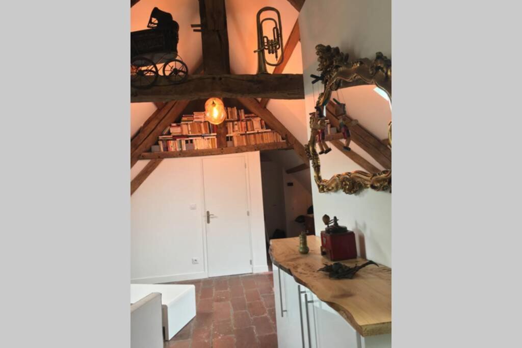 La Terrasse Du Chevalier D'Eon - Loft A Tonnerre Appartement Buitenkant foto